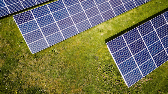 Panneaux photovoltaïques installées sur une pelouse